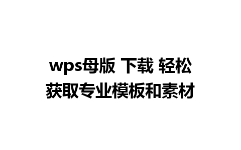 wps母版 下载 轻松获取专业模板和素材