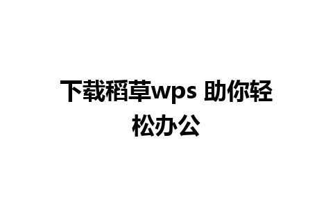 下载稻草wps 助你轻松办公