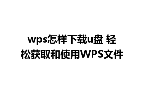 wps怎样下载u盘 轻松获取和使用WPS文件