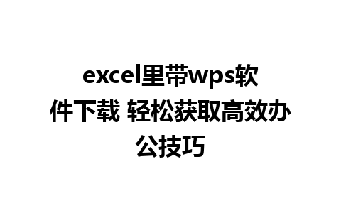 excel里带wps软件下载 轻松获取高效办公技巧