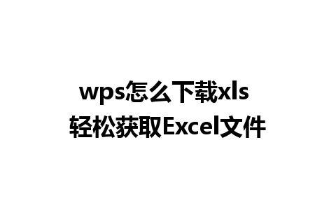 wps怎么下载xls 轻松获取Excel文件