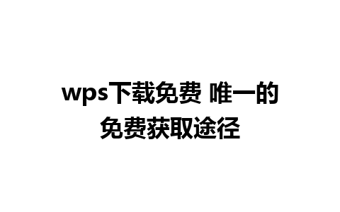 wps下载免费 唯一的免费获取途径