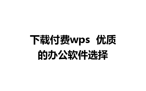 下载付费wps  优质的办公软件选择