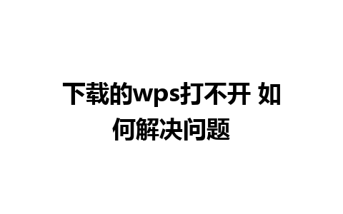 下载的wps打不开 如何解决问题