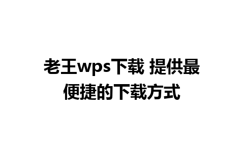 老王wps下载 提供最便捷的下载方式