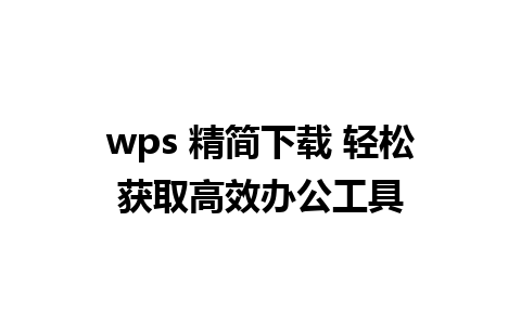 wps 精简下载 轻松获取高效办公工具