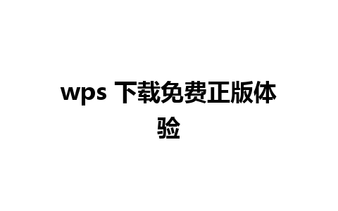 wps 下载免费正版体验