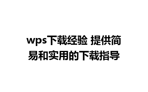 wps下载经验 提供简易和实用的下载指导