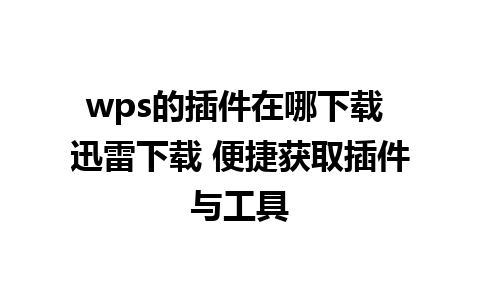 wps的插件在哪下载 迅雷下载 便捷获取插件与工具