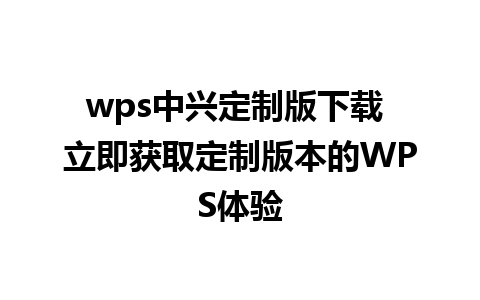 wps中兴定制版下载 立即获取定制版本的WPS体验