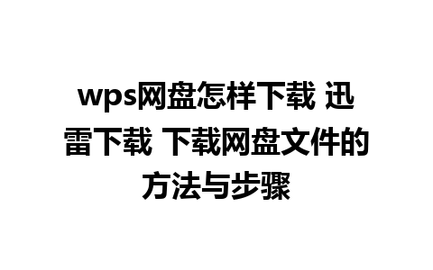 wps网盘怎样下载 迅雷下载 下载网盘文件的方法与步骤