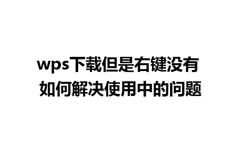 wps下载但是右键没有 如何解决使用中的问题