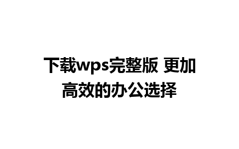 下载wps完整版 更加高效的办公选择