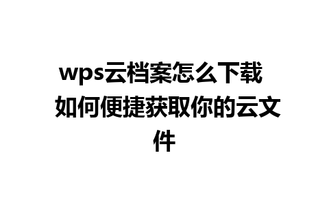 wps云档案怎么下载  如何便捷获取你的云文件