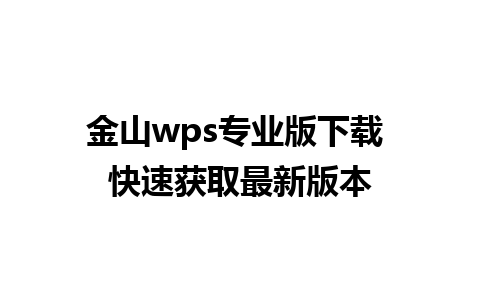 金山wps专业版下载 快速获取最新版本