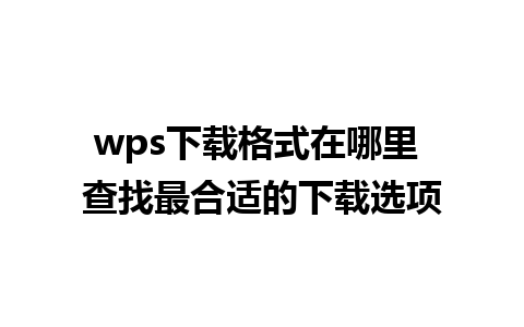 wps下载格式在哪里 查找最合适的下载选项