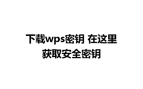 下载wps密钥 在这里获取安全密钥