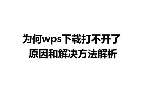 为何wps下载打不开了 原因和解决方法解析