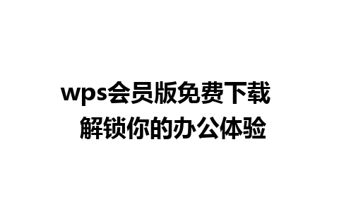 wps会员版免费下载  解锁你的办公体验