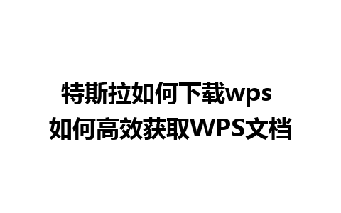 特斯拉如何下载wps 如何高效获取WPS文档