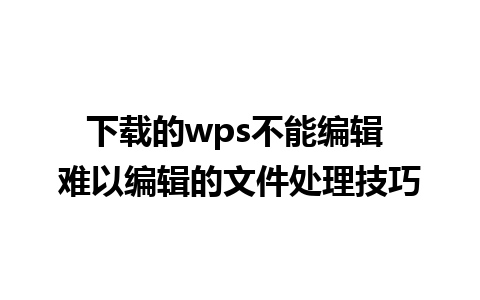 下载的wps不能编辑 难以编辑的文件处理技巧