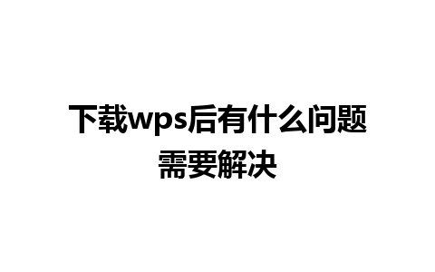 下载wps后有什么问题需要解决