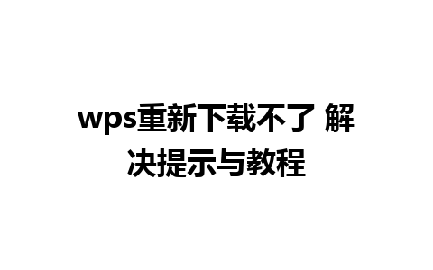 wps重新下载不了 解决提示与教程