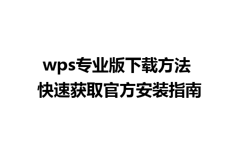 wps专业版下载方法 快速获取官方安装指南