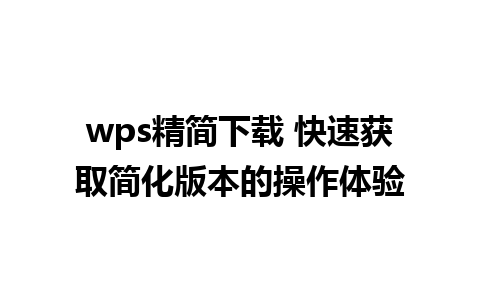 wps精简下载 快速获取简化版本的操作体验