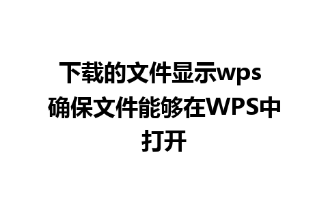 下载的文件显示wps 确保文件能够在WPS中打开