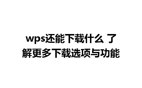 wps还能下载什么 了解更多下载选项与功能