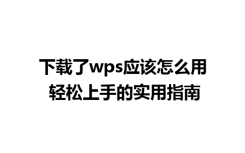 下载了wps应该怎么用 轻松上手的实用指南