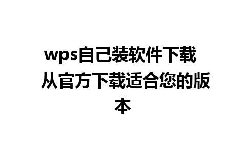 wps自己装软件下载  从官方下载适合您的版本