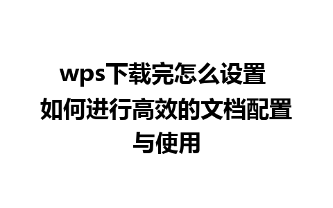 wps下载完怎么设置 如何进行高效的文档配置与使用