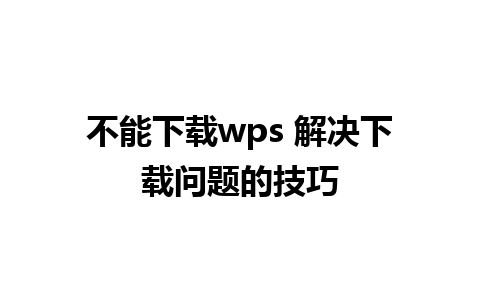 不能下载wps 解决下载问题的技巧