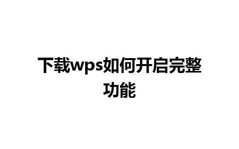 下载wps如何开启完整功能