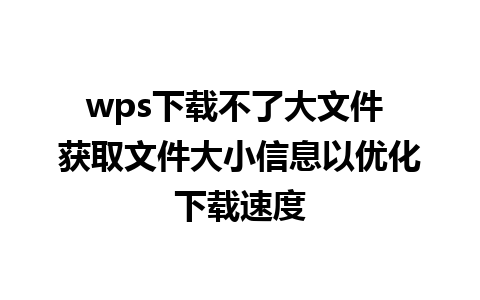 wps下载不了大文件 获取文件大小信息以优化下载速度