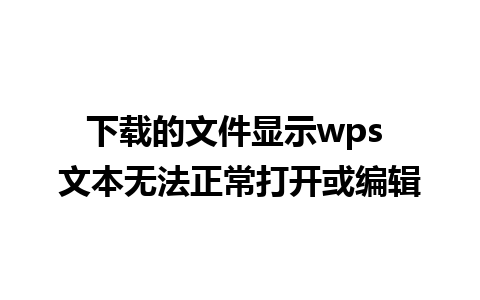 下载的文件显示wps 文本无法正常打开或编辑